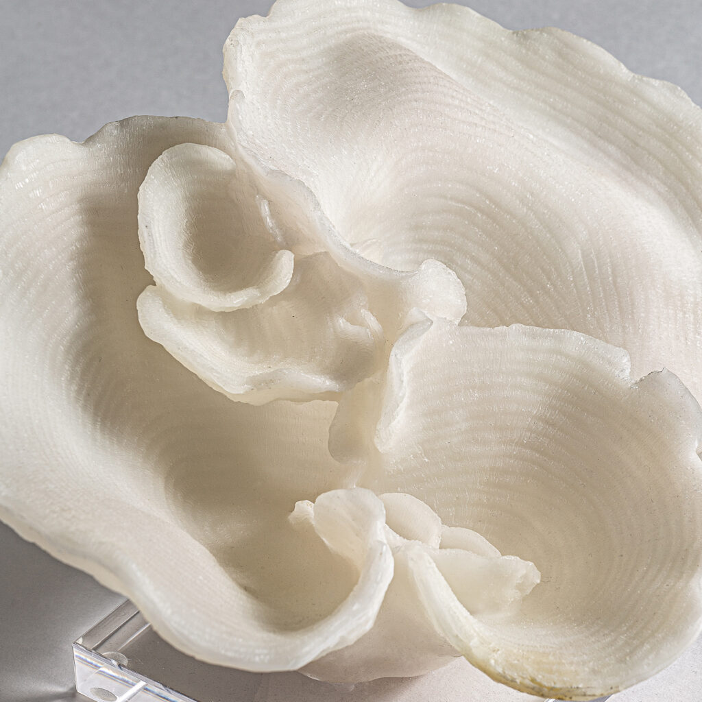 Figura Decorativa Arrecife