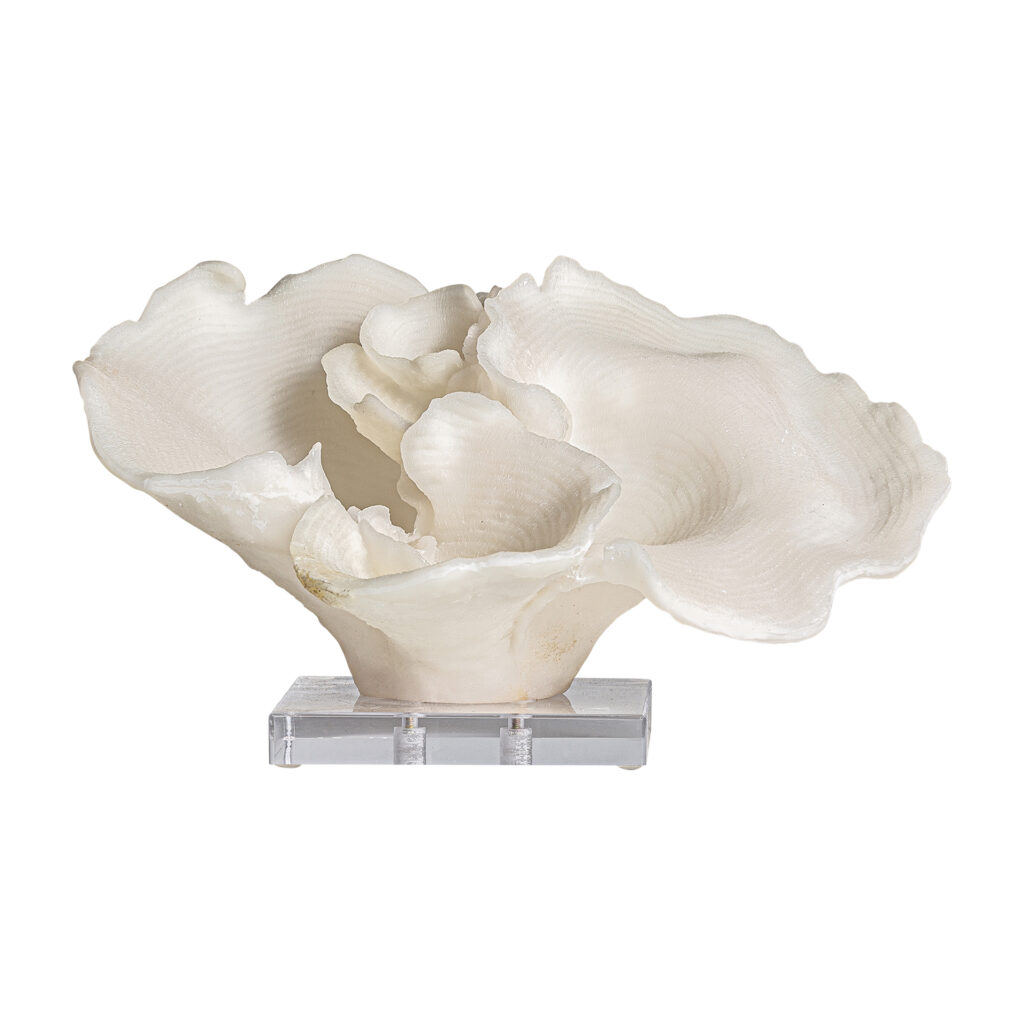 Figura Decorativa Arrecife
