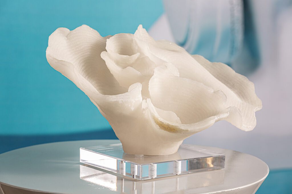 Figura Decorativa Arrecife
