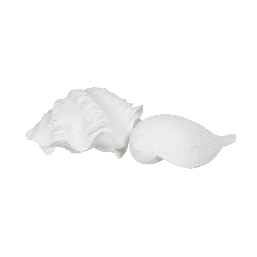Figura caracola blanco resina