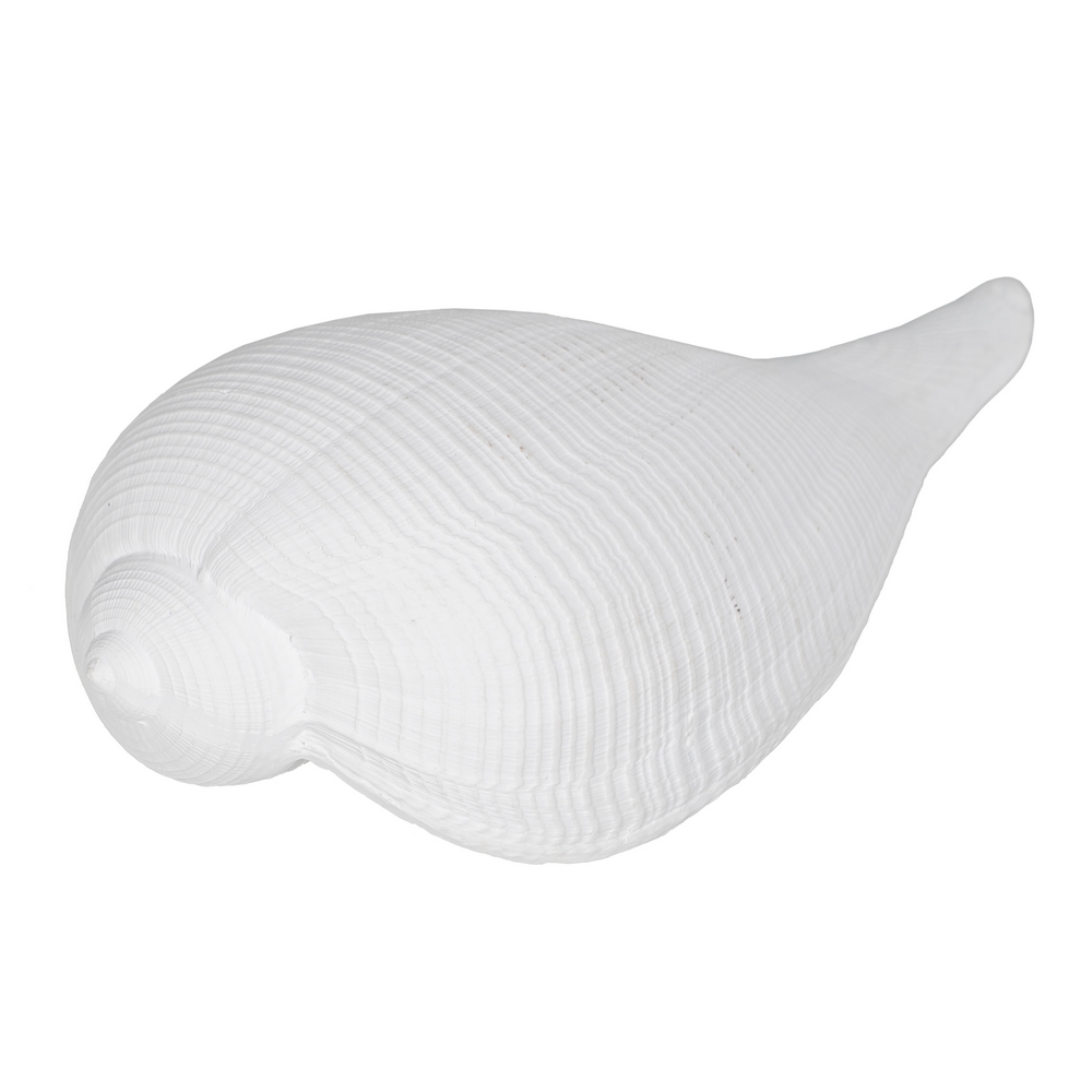 Figura caracola blanco resina