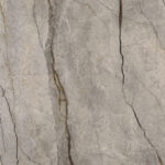 Silver Root