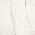 Silver Root White